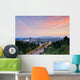 Asheville Skyline Wall Decal
