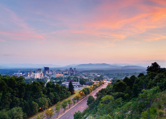 Asheville Skyline Wall Decal