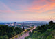 Asheville Skyline Wall Decal