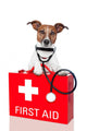 First Aid Dog Wall Decal