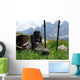 Hiking Wall Decal