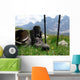 Hiking Wall Decal