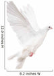 Photographic White Dove Wall Decal