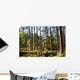 Bright Morning Forest after Wall Decal