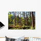 Bright Morning Forest after Wall Decal