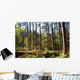 Bright Morning Forest after Wall Decal