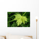 Green Leaf Wall Decal