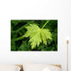 Green Leaf Wall Decal