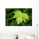 Green Leaf Wall Decal