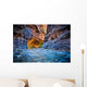 Zion Canyon Narrows Wall Decal