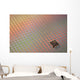 Silicon Ics Wafer Wall Decal