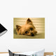 Sleepy Yorkie Wall Decal