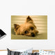 Sleepy Yorkie Wall Decal