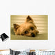 Sleepy Yorkie Wall Decal