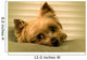Sleepy Yorkie Wall Decal