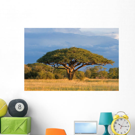 African Acacia Tree Hwange Wall Decal