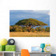 African Acacia Tree Hwange Wall Decal