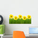 Daisies Wall Decal