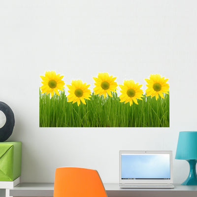 Daisies Wall Decal shown on a wall