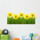 Daisies Wall Decal