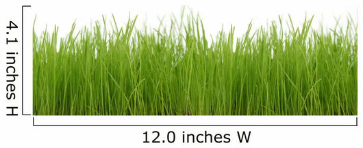 Green Grass Wall Decal