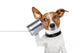 Dog Phone Wall Decal