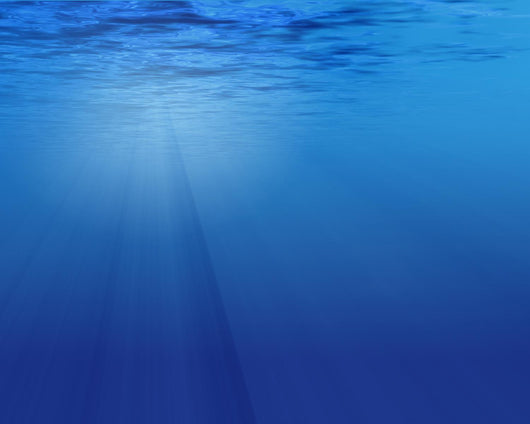 Underwater Scene Wall Decal