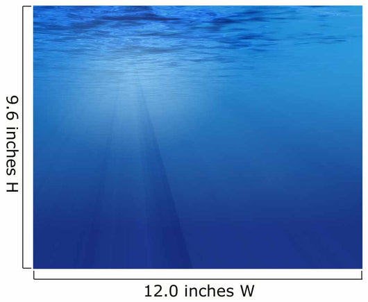 Underwater Scene Wall Decal