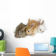 Cute Rabbit Family Wall Decal
