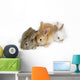 Cute Rabbit Family Wall Decal