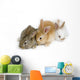 Cute Rabbit Family Wall Decal