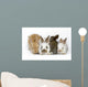 Sweet Four Baby Rabbit Wall Decal