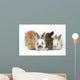 Sweet Four Baby Rabbit Wall Decal