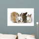Sweet Four Baby Rabbit Wall Decal
