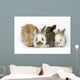 Sweet Four Baby Rabbit Wall Decal