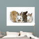 Sweet Four Baby Rabbit Wall Decal