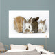 Sweet Four Baby Rabbit Wall Decal