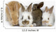 Sweet Four Baby Rabbit Wall Decal