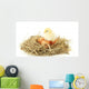 Beautiful Little Chicken and Wall Decal