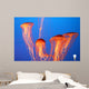 Orange Jellyfish Wall Decal