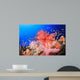 Beautiful Soft Corals Red Wall Decal
