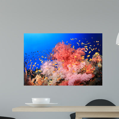 Beautiful Soft Corals Red Wall Decal shown on a wall