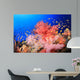 Beautiful Soft Corals Red Wall Decal
