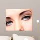 Beautiful Eyes with Makeup Wall Decal