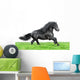 Friesian Horse White Wall Decal