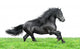Friesian Horse White Wall Decal