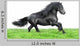Friesian Horse White Wall Decal
