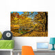 Small Lake Autumn Forest Wall Decal