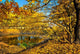 Small Lake Autumn Forest Wall Decal