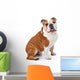 English Bulldog Sitting Wall Decal